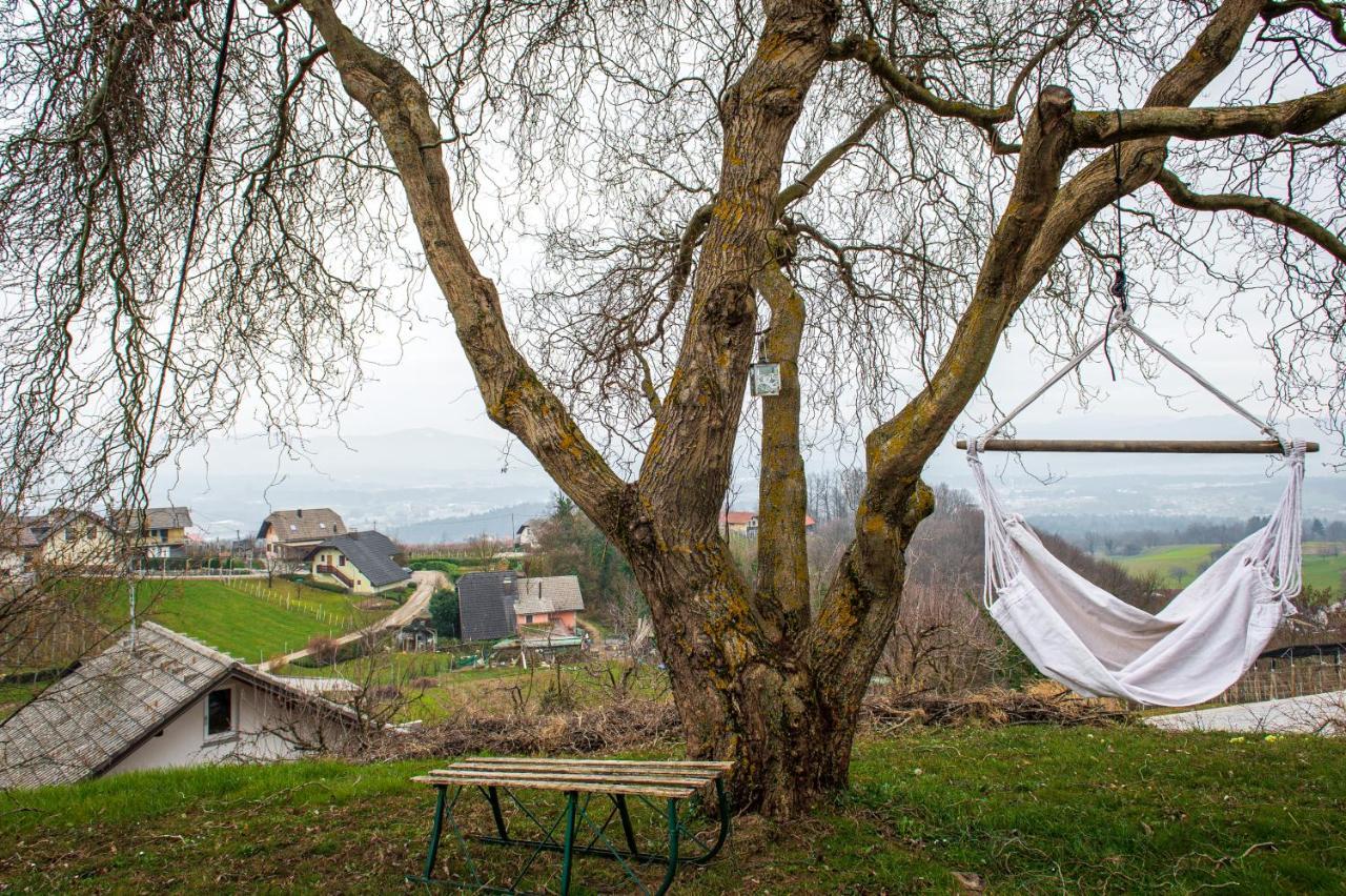 Vineyard Cottage Klemencic Novo Mesto Eksteriør bilde
