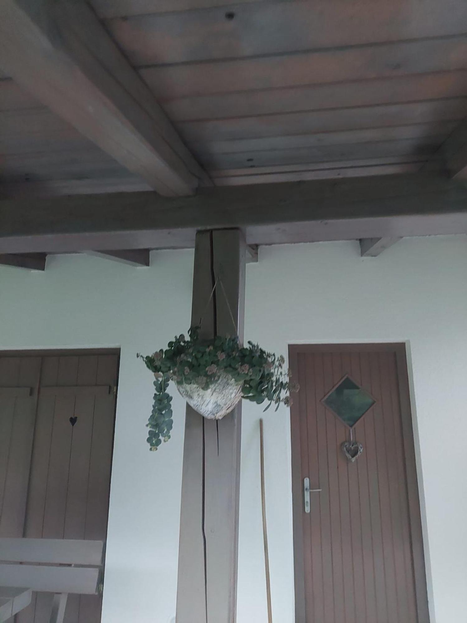 Vineyard Cottage Klemencic Novo Mesto Eksteriør bilde